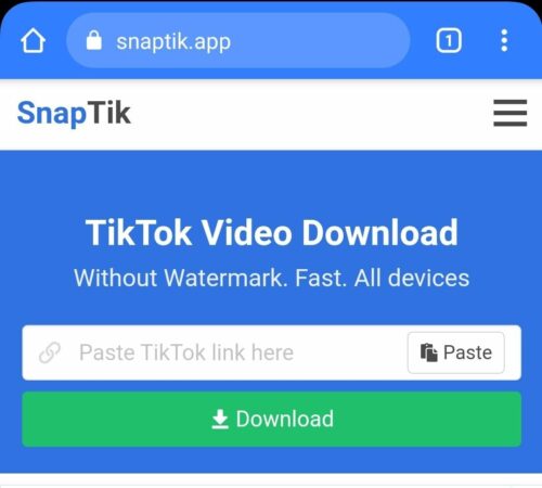 Snaptik app