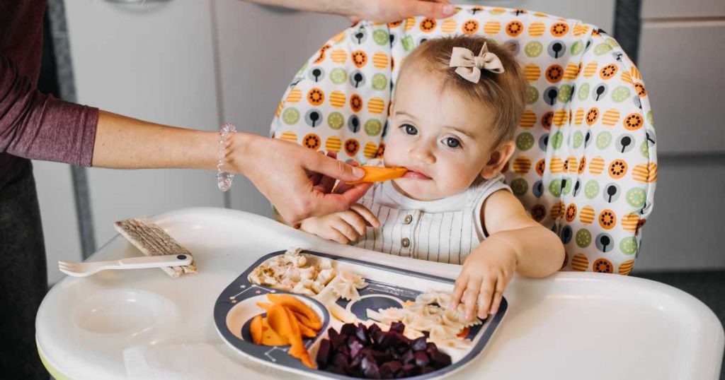 primeiros alimentos do bebê