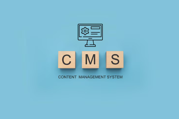 CMS: como escolher a plataforma de gerenciamento de conteúdo